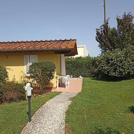 Piscina Privata Tiger Home, Toscana Capannori Kültér fotó