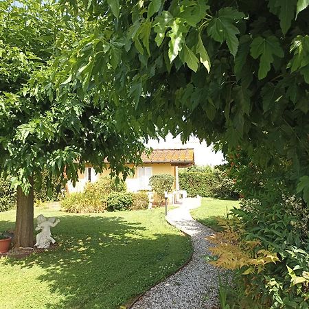 Piscina Privata Tiger Home, Toscana Capannori Kültér fotó