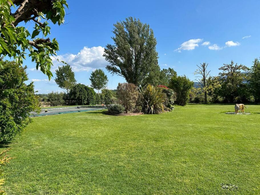 Piscina Privata Tiger Home, Toscana Capannori Kültér fotó