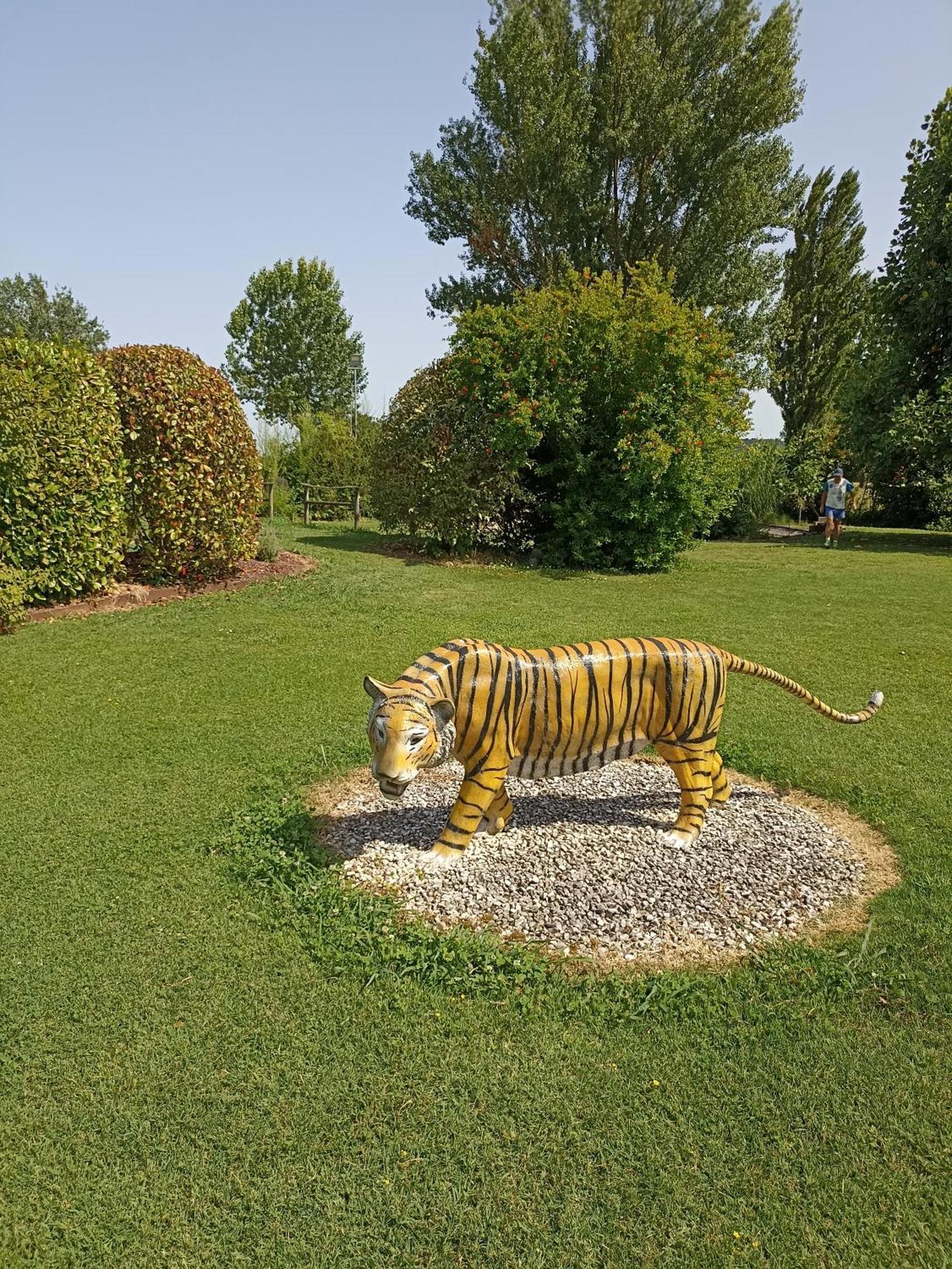 Piscina Privata Tiger Home, Toscana Capannori Kültér fotó